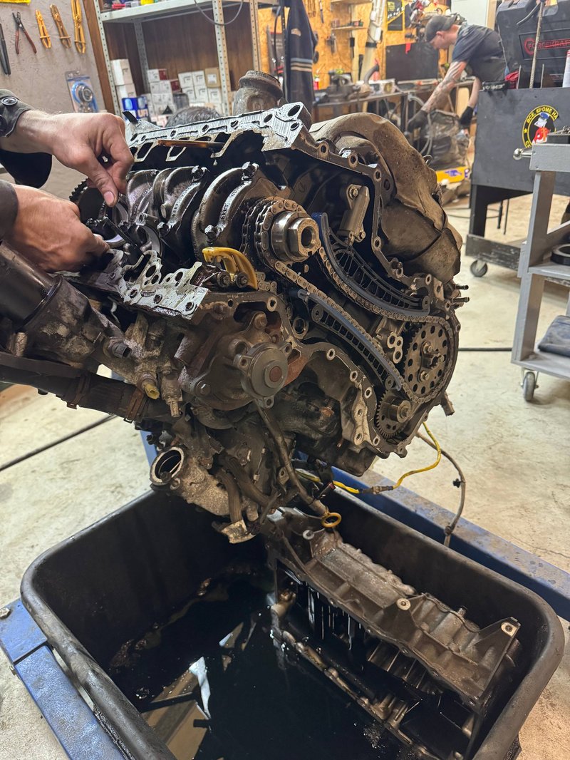 photo_3_2026-02-24_10-57-24