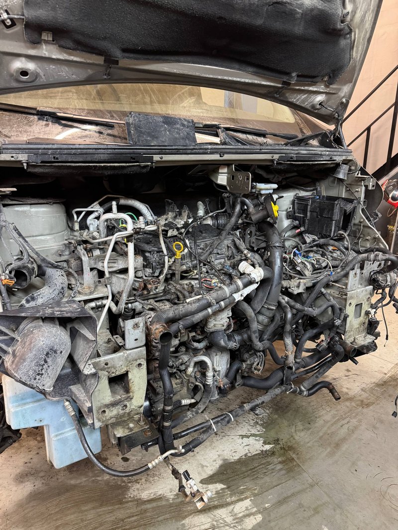 photo_9_2026-02-24_10-57-24